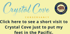 Click here to see a short visit to Crystal Cove just to put my feet in the Pacific.