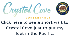 Click here to see a short visit to Crystal Cove just to put my feet in the Pacific.